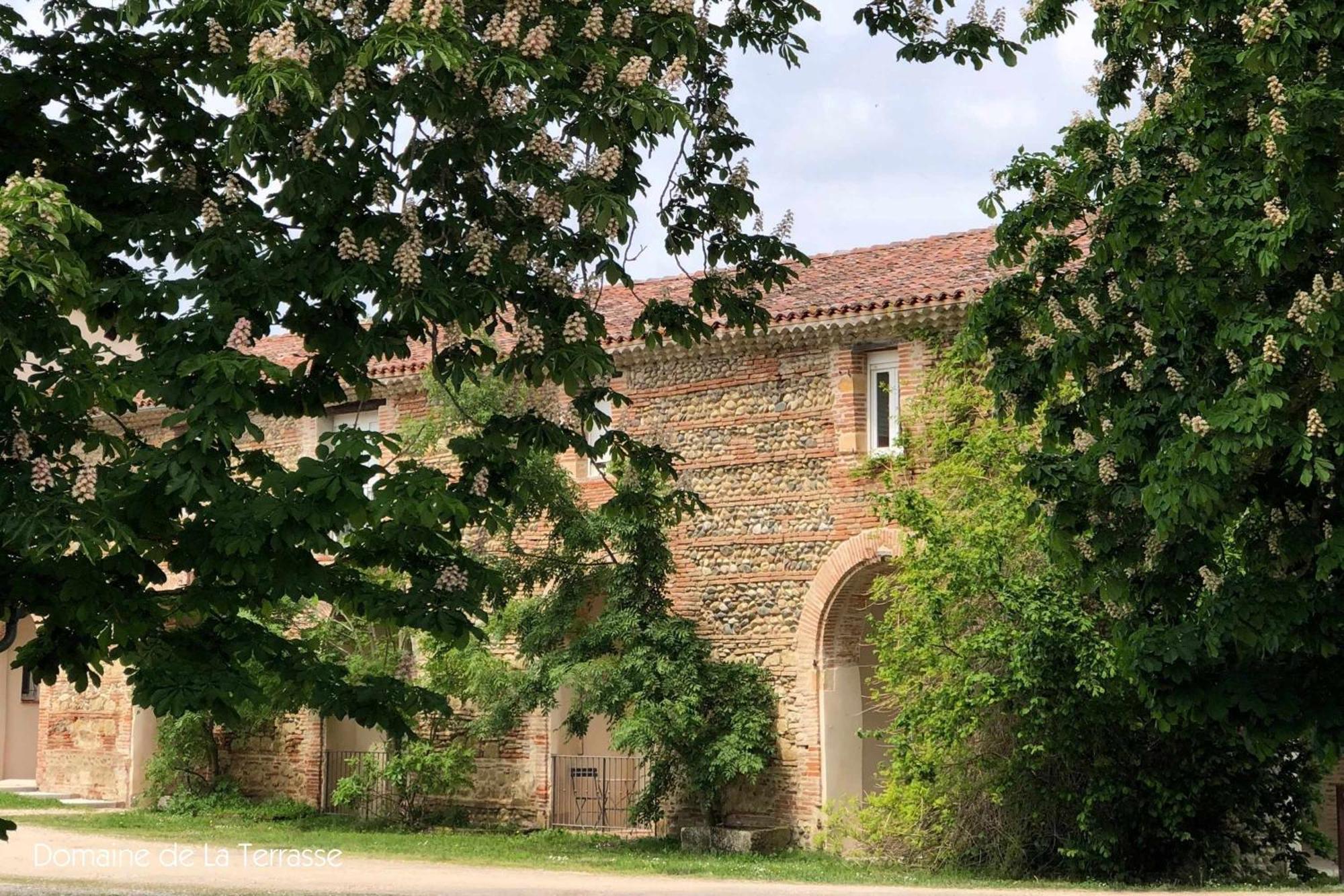 Domaine De La Terrasse Daire Carbonne Dış mekan fotoğraf