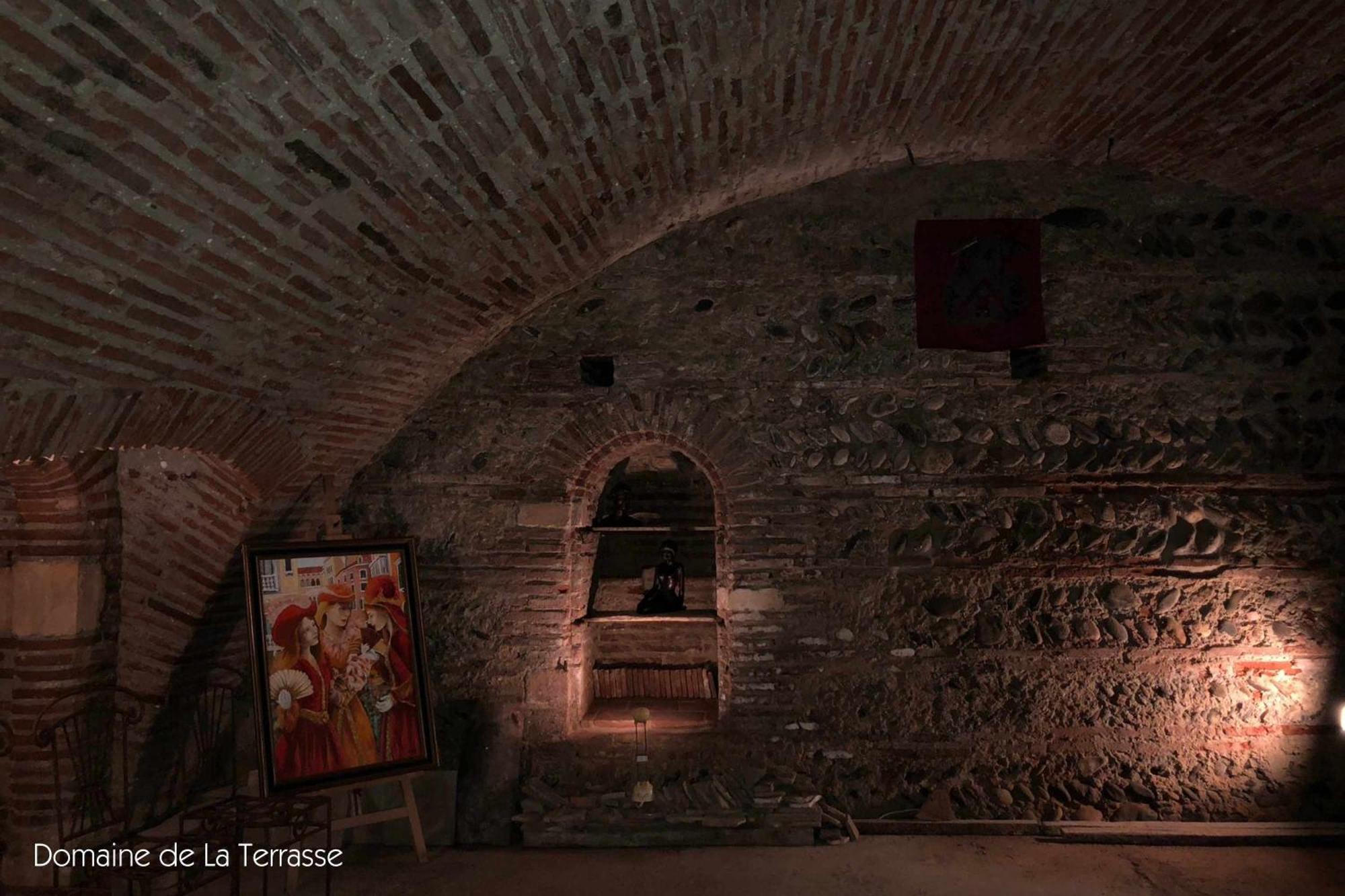 Domaine De La Terrasse Daire Carbonne Dış mekan fotoğraf