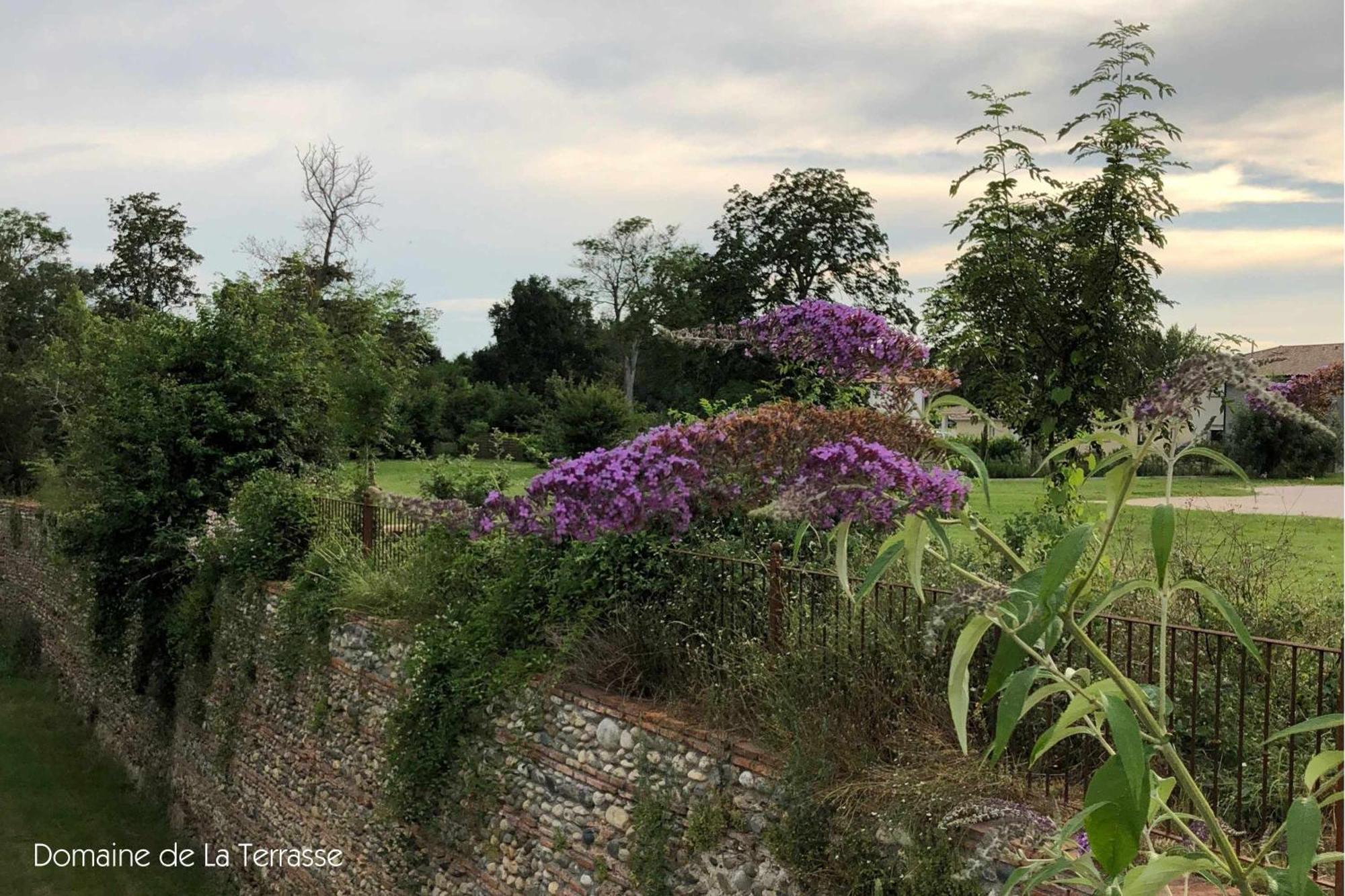 Domaine De La Terrasse Daire Carbonne Dış mekan fotoğraf