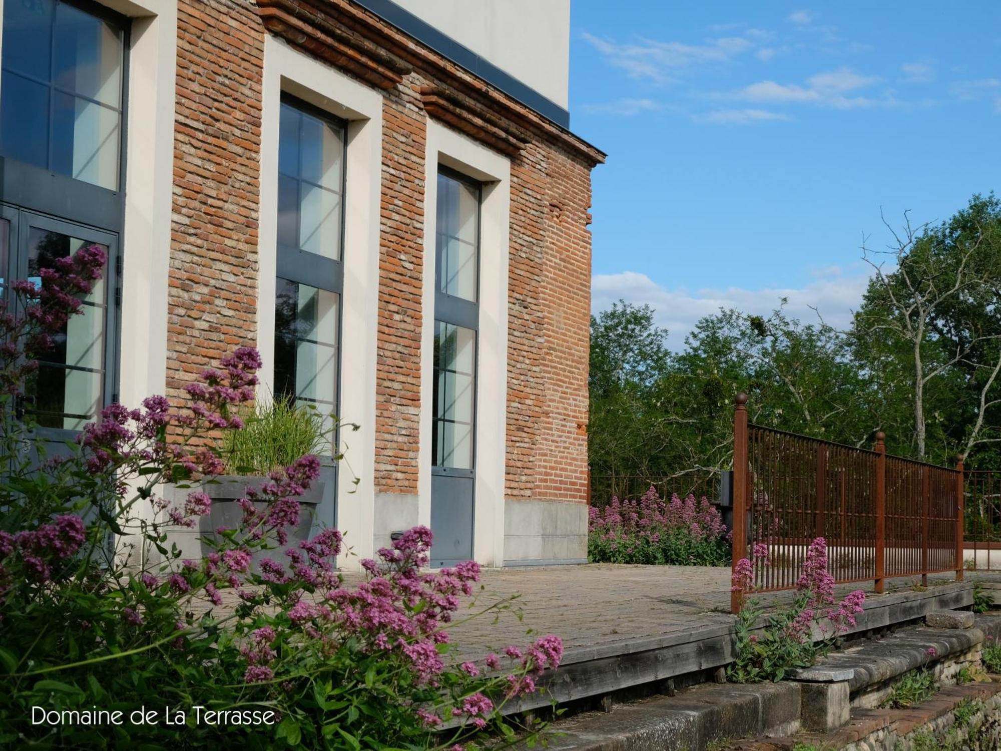 Domaine De La Terrasse Daire Carbonne Dış mekan fotoğraf
