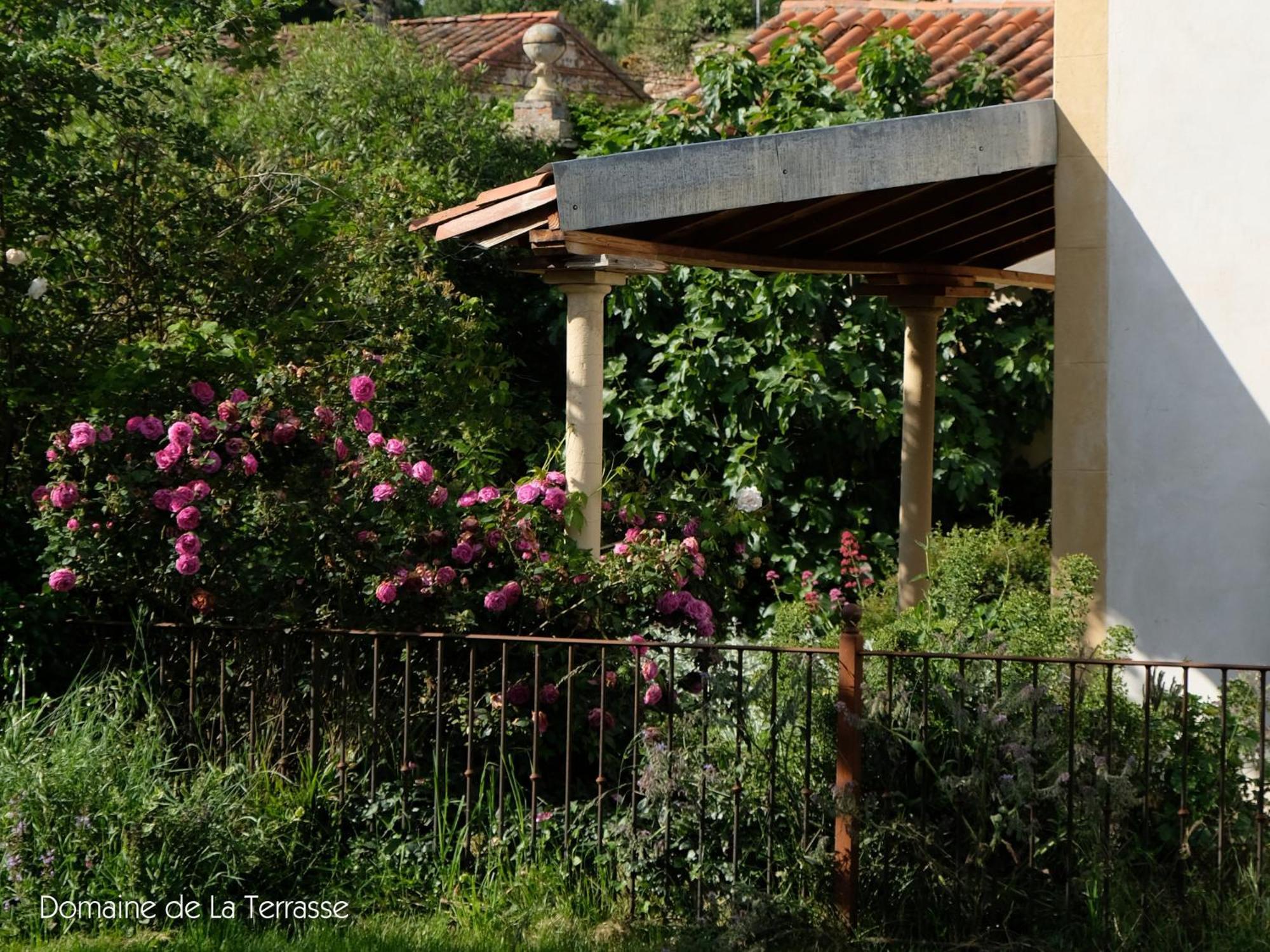 Domaine De La Terrasse Daire Carbonne Dış mekan fotoğraf