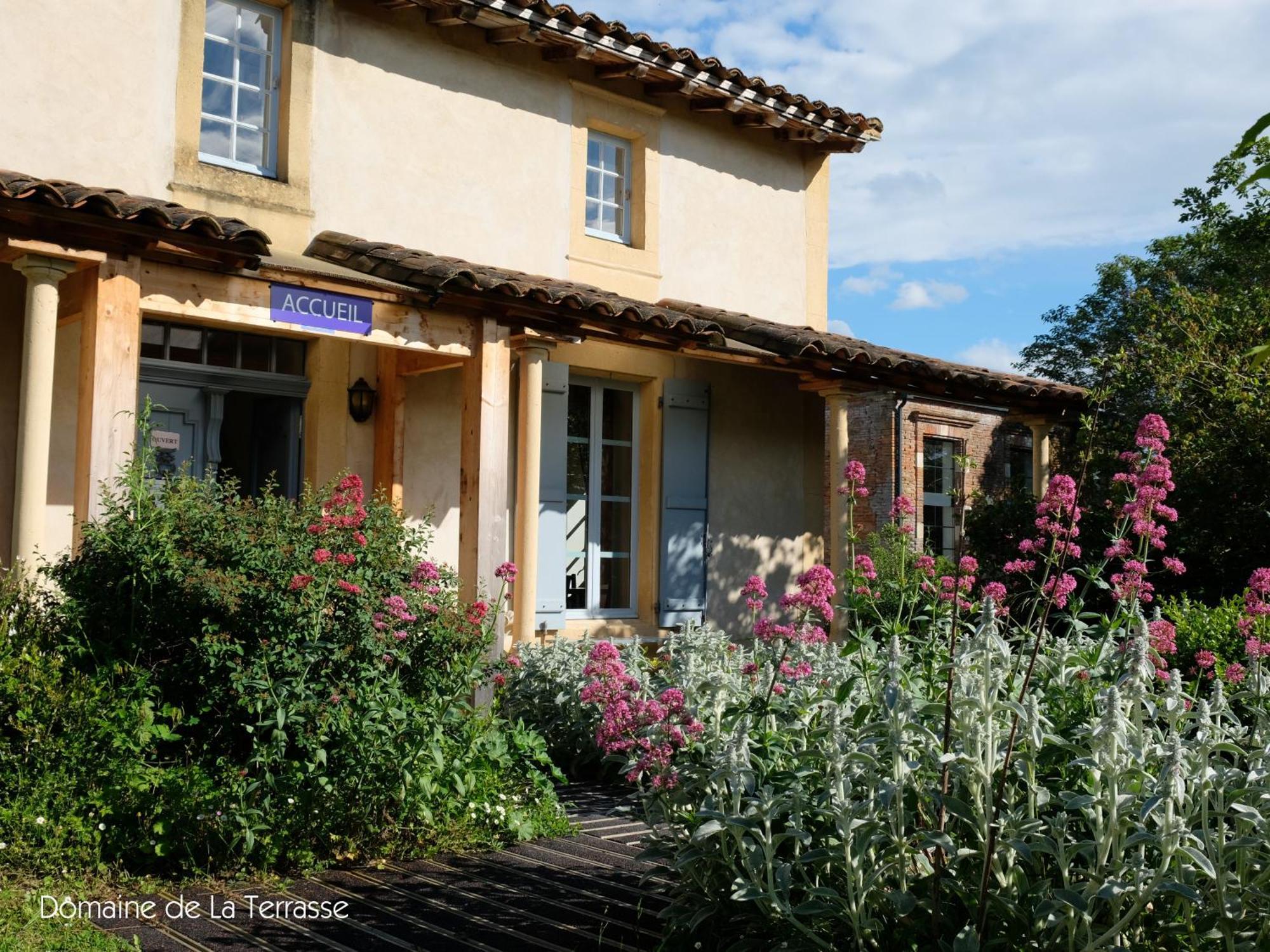 Domaine De La Terrasse Daire Carbonne Dış mekan fotoğraf