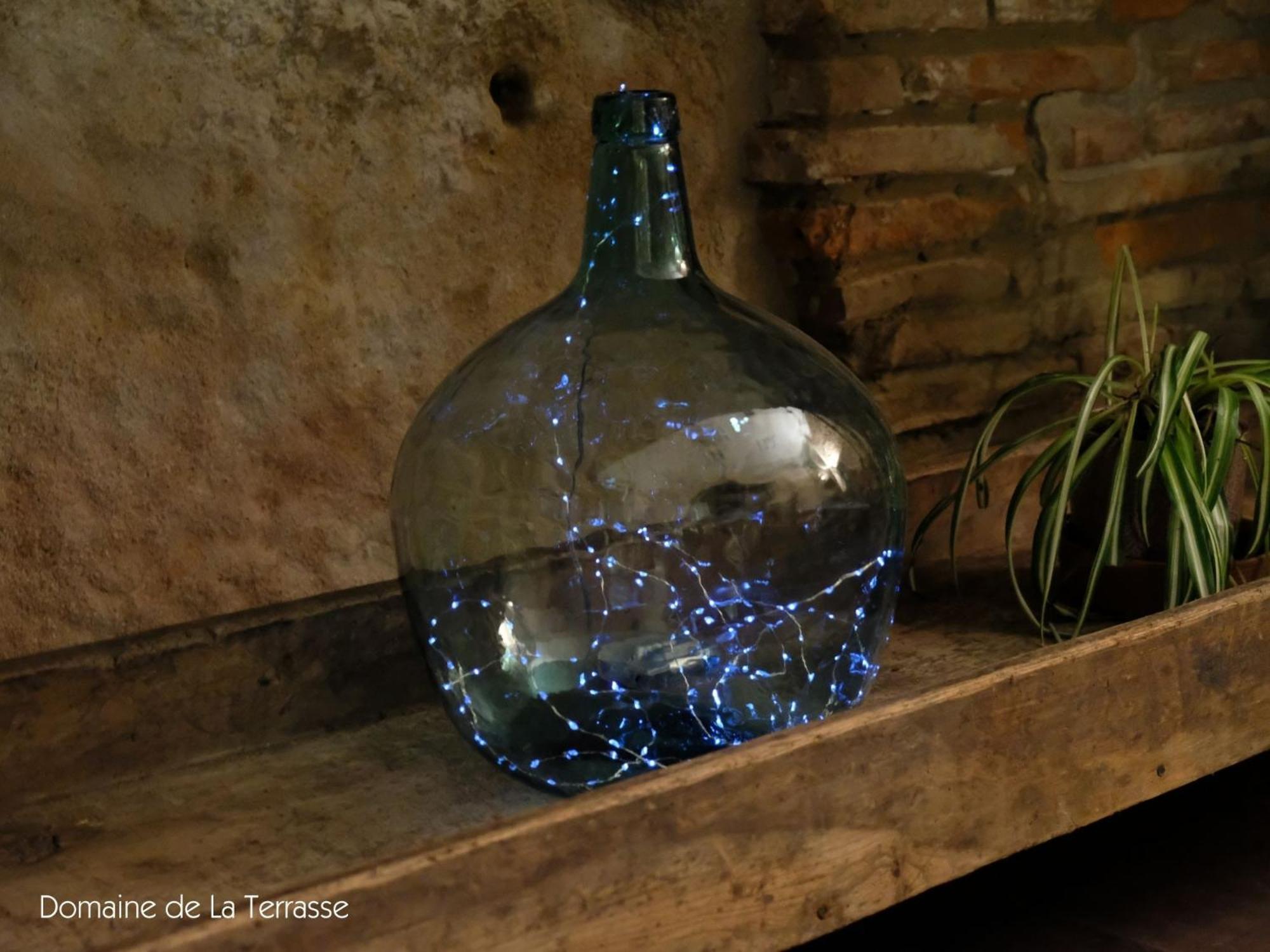 Domaine De La Terrasse Daire Carbonne Dış mekan fotoğraf