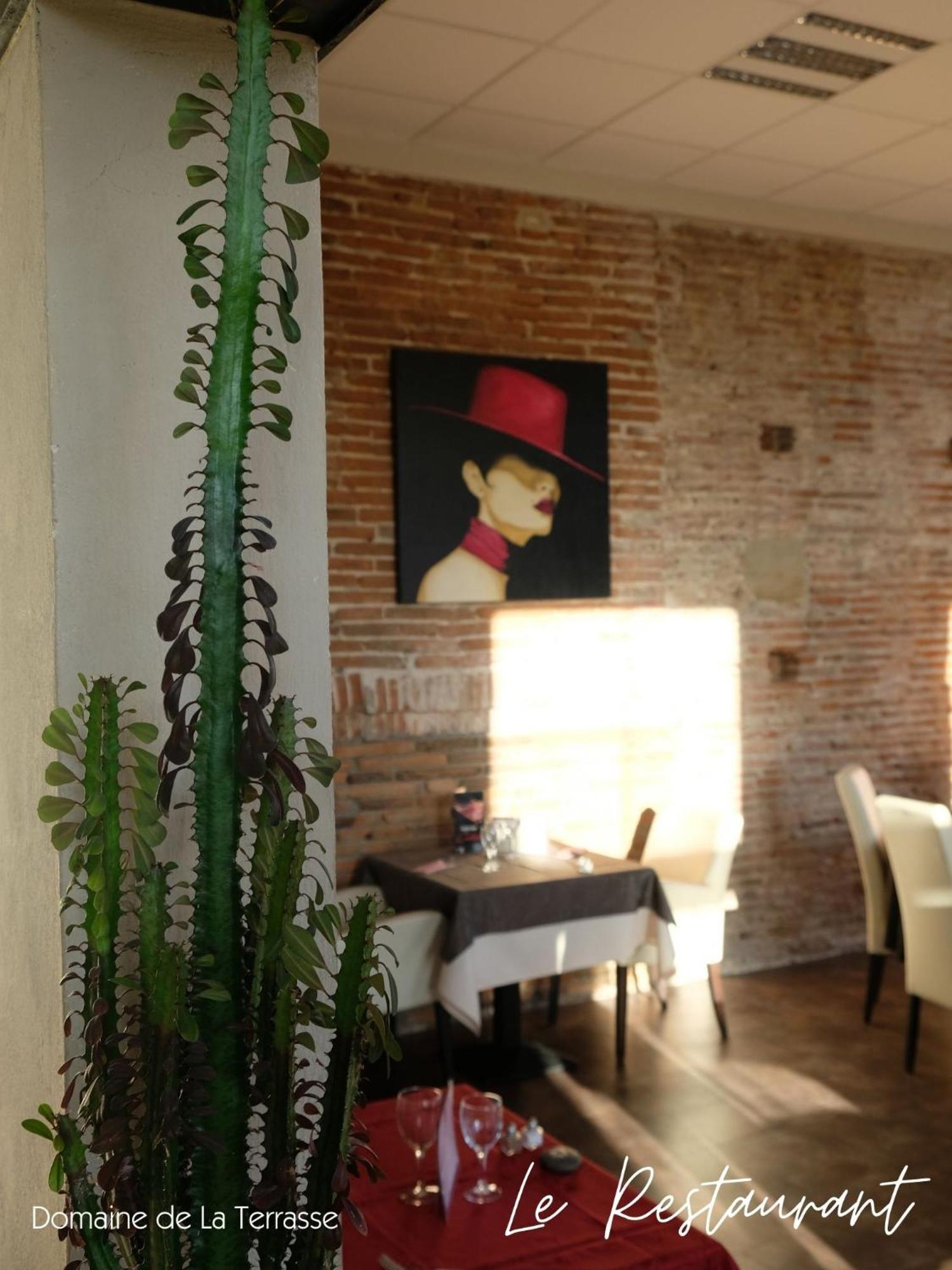 Domaine De La Terrasse Daire Carbonne Dış mekan fotoğraf