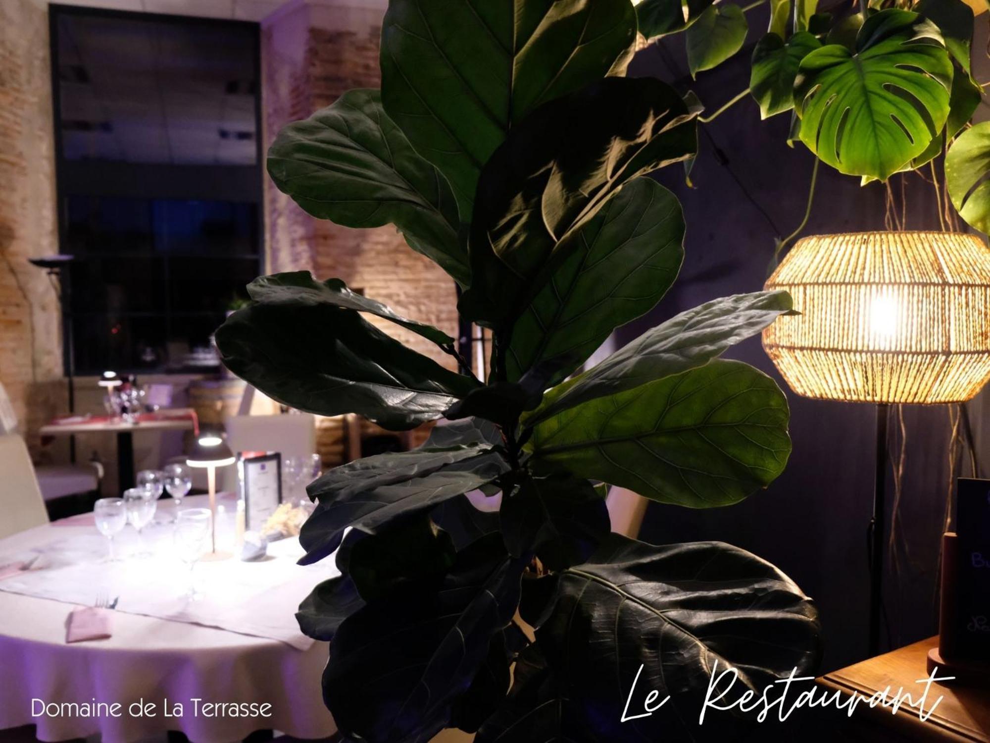 Domaine De La Terrasse Daire Carbonne Dış mekan fotoğraf